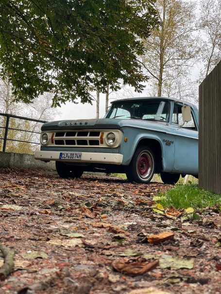 The Dodge