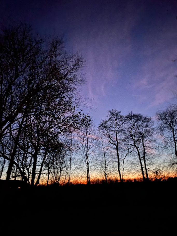 erlebt Sonnenuntergänge und schaut lange in Himmel Sonnenuntergang mit bunten Himmel über silhuettartigen Bäumen.
