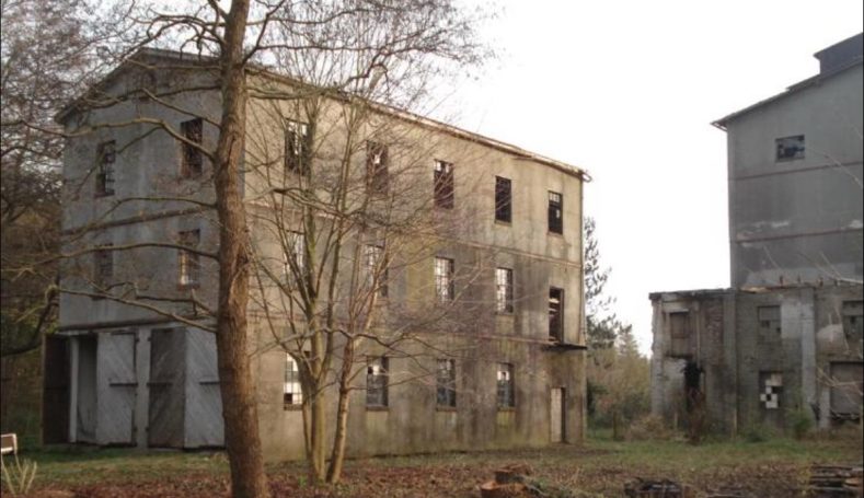 im Verfall Verlassenes Gebäude mit bröckelnder Fassade und sichtbaren Fenstern, umgeben von Bäumen.